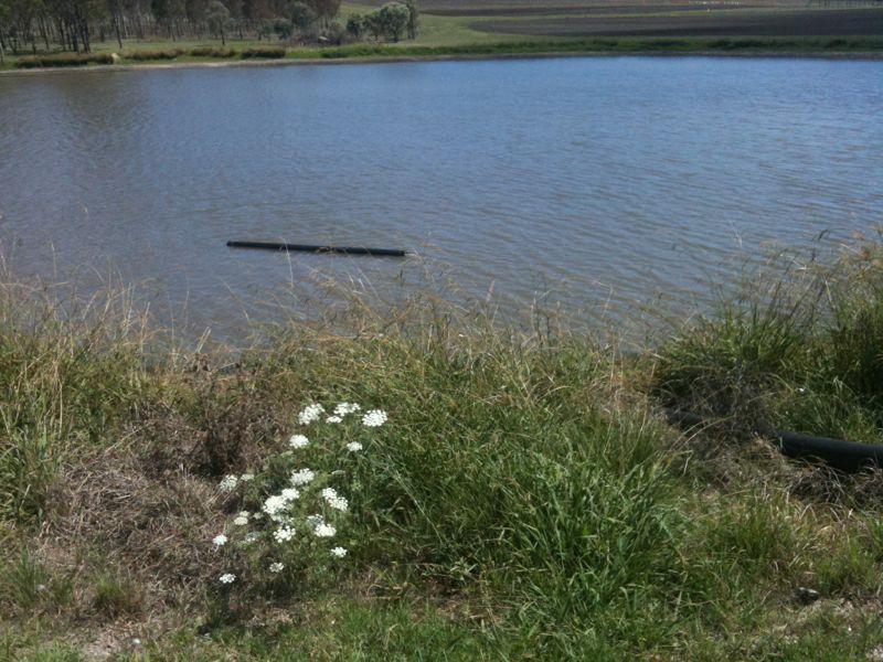 Hermitage research 018 - Lister Irrigation Recent Projects Warwick QLD