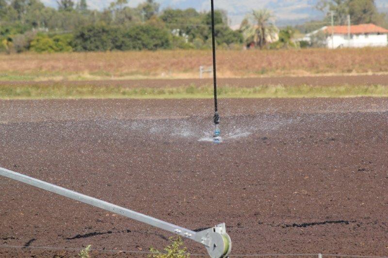 May 2013 080 - Lister Irrigation Recent Projects Warwick QLD