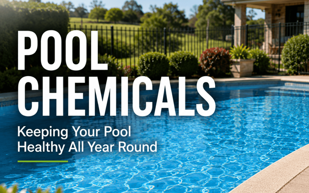 How to Choose the Right Pool Chemicals for a Healthy Swimming Pool All Year Round
